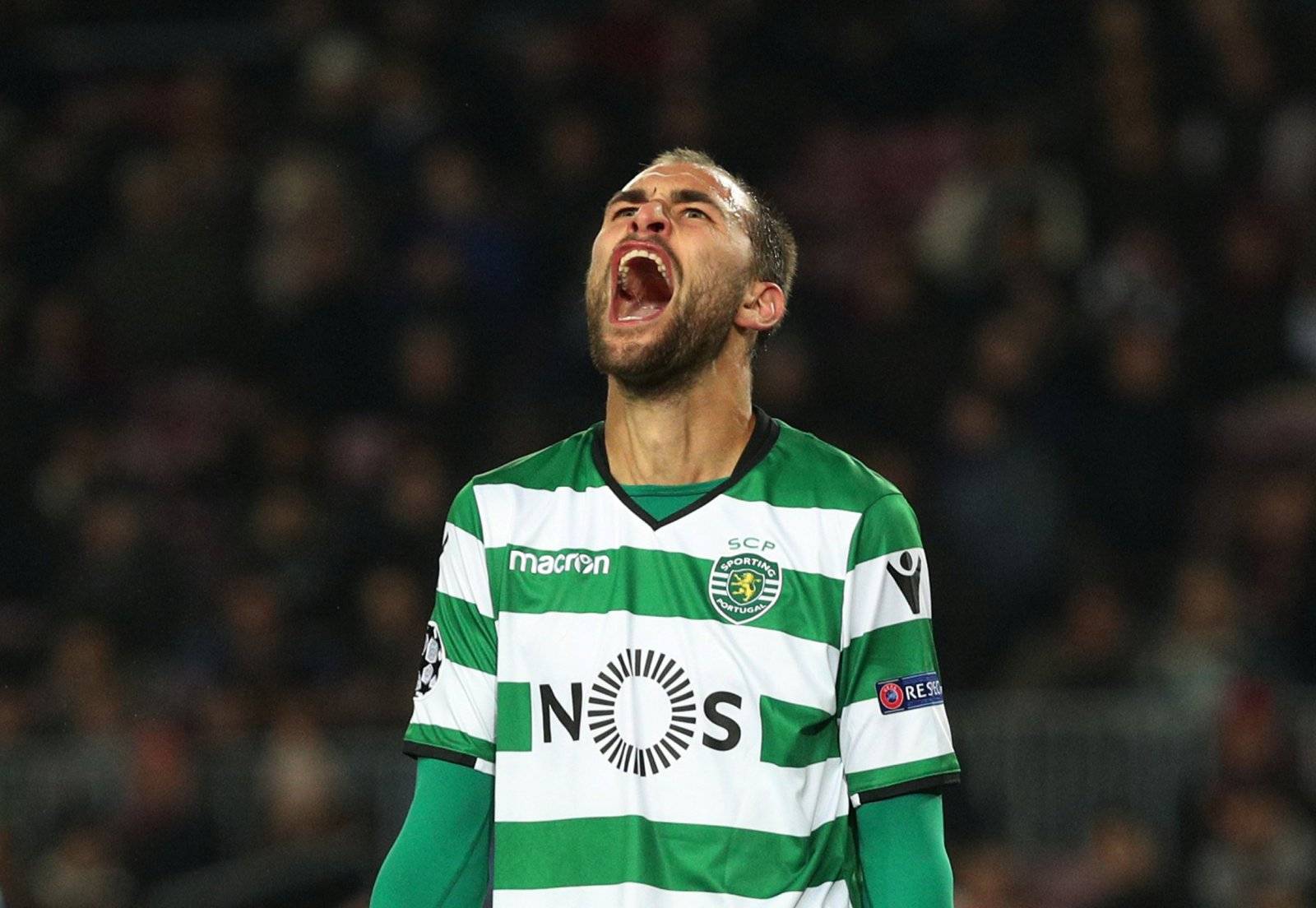 Newcastle United should finally bring Bas Dost to the club this summer - Newcastle United