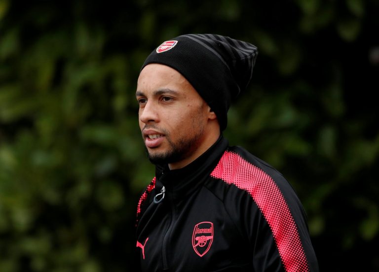 Profit Players: Arsenal signing Francis Coquelin for £900,000 proved a bargain