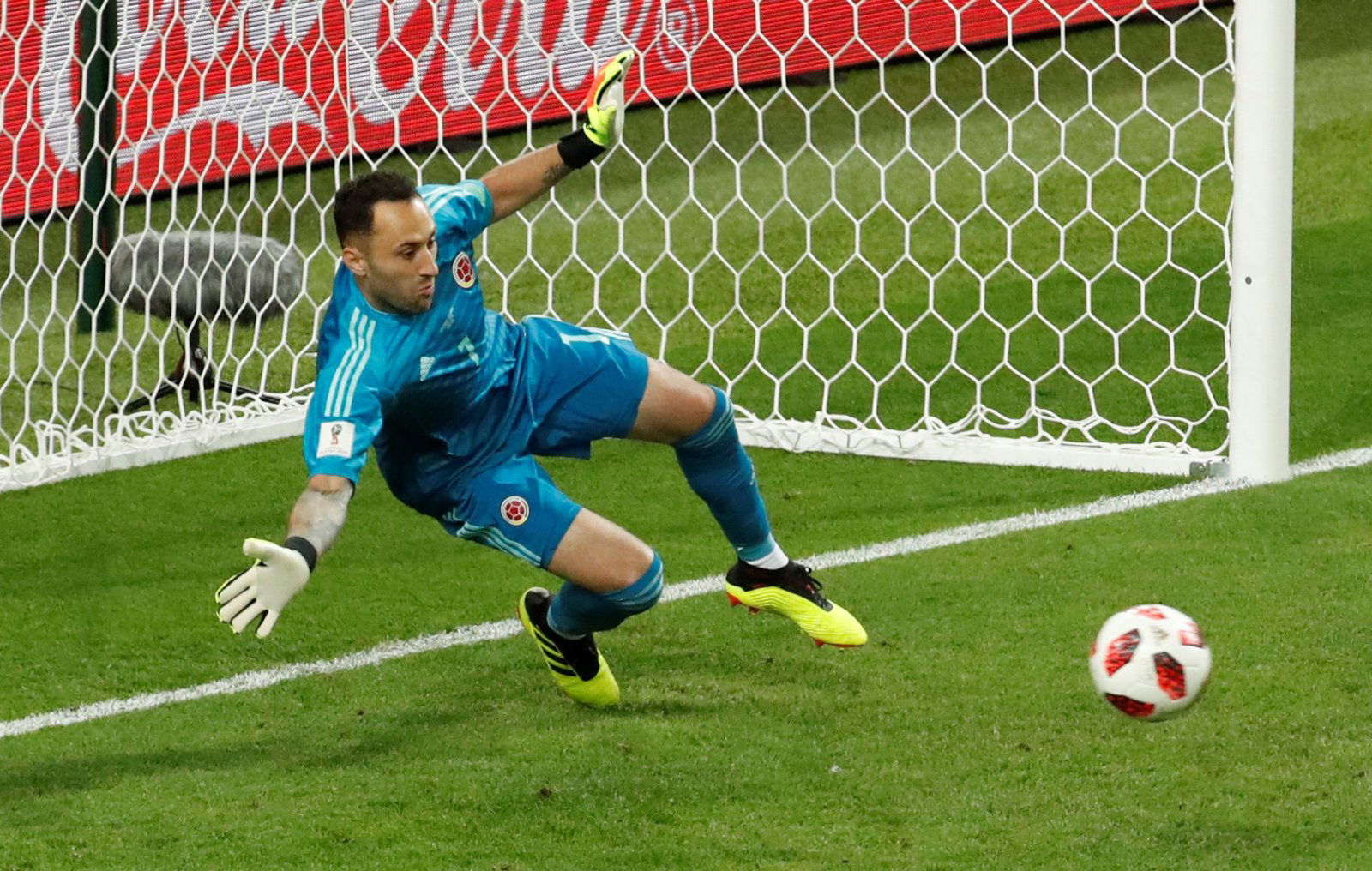 David Ospina would be the ideal long-term Craig Gordon replacement at Celtic