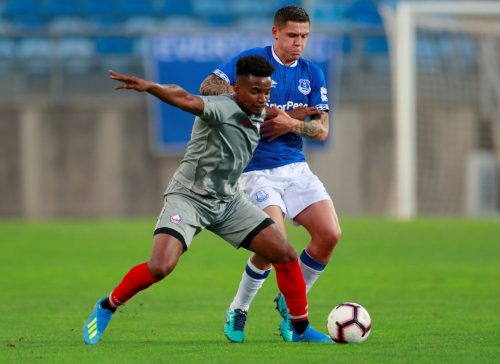 Everton: Fans laud possible Muhamed Besic exit to Bournemouth