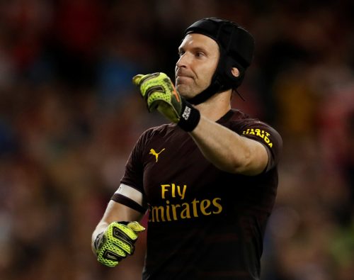 Arsenal fans take to Twitter with delight over goalkeeping update