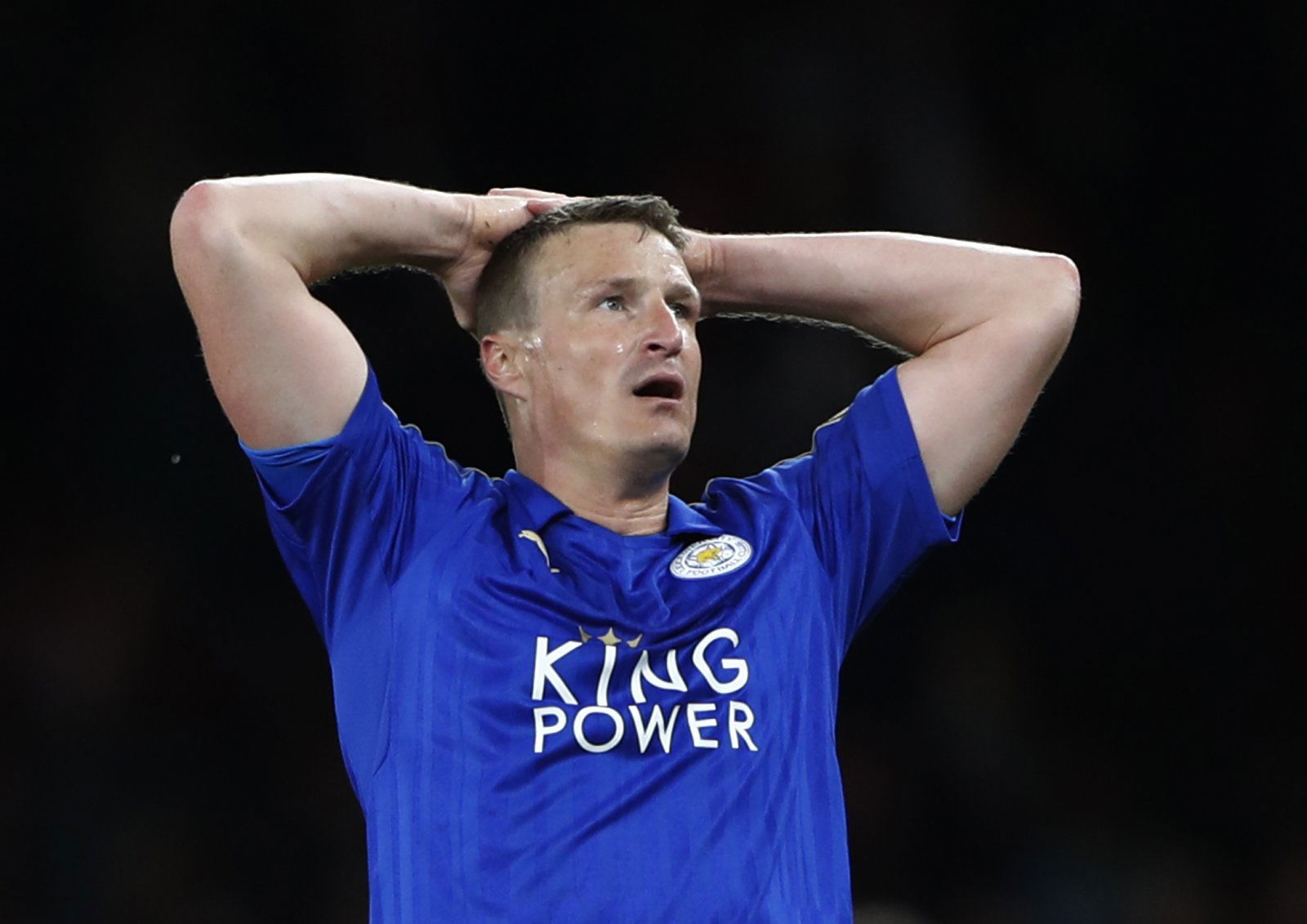 Graham Potter would complete defence with deal for Robert Huth