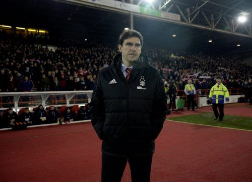 A huge amount of Nottingham Forest fans believe the club have too big a midfield