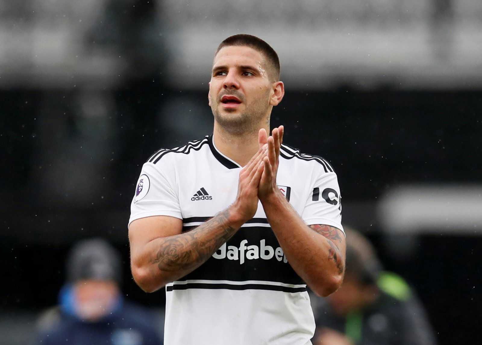 Mitrovic