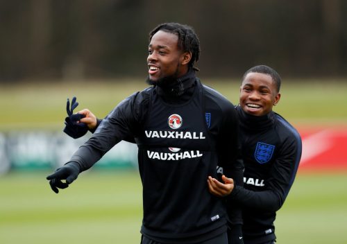 Jos Luhukay must start Josh Onomah to continue Sheffield Wednesday’s winning run