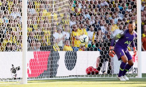 Tottenham fans react to Hugo Lloris injury setback