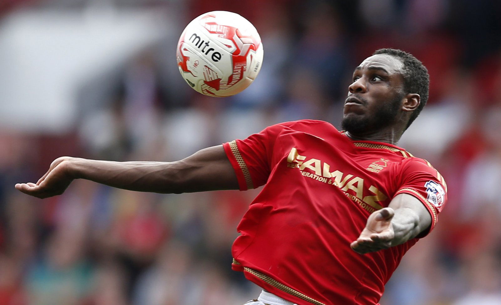 Profit Players: Michail Antonio