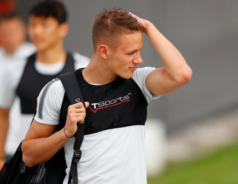 Hannes Wol