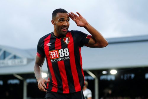 Introducing the striker Everton desperately need, Callum Wilson