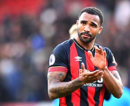 Tottenham Hotspur: Ex-Spur insists Bournemouth’s Callum Wilson would be a ‘great backup’ to Harry Kane