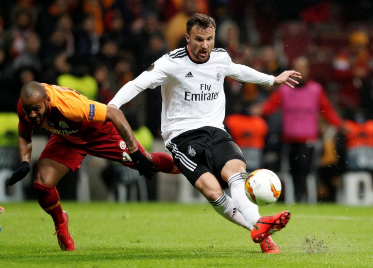 Haris Seferovic would give Everton the quality striker they have been crying out for