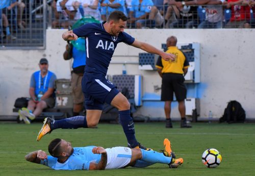 Vincent Janssen faces the most important few weeks of his Tottenham career