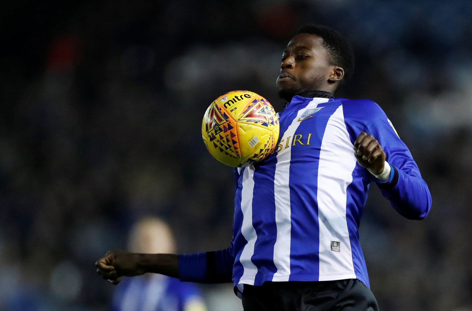 Image result for iorfa sheffield wednesday