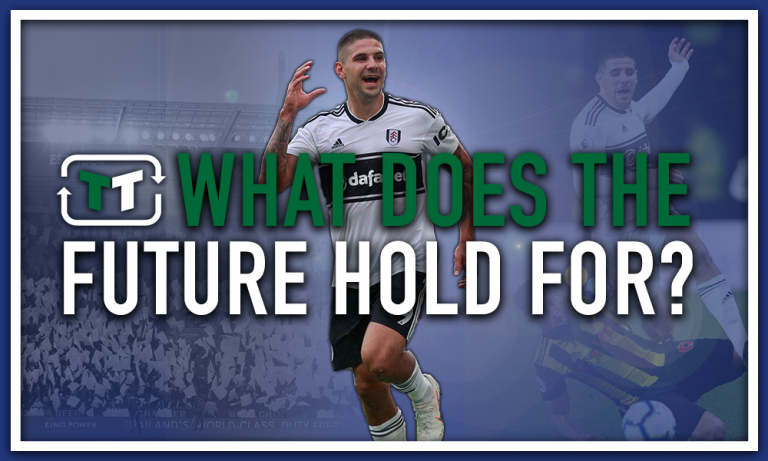 What does the future hold for Aleksandar Mitrovic at Fulham?