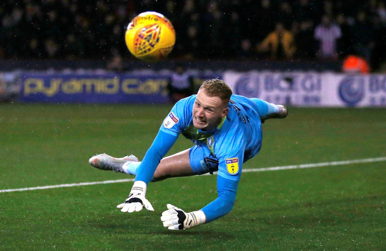 Sheffield Wednesday: Fans want new contract for Cameron Dawson amid transfer interest - Sheffield Wednesday