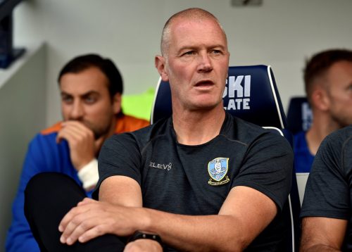Sheffield Wednesday: Fans react to Lee Bullen comments about James Beattie