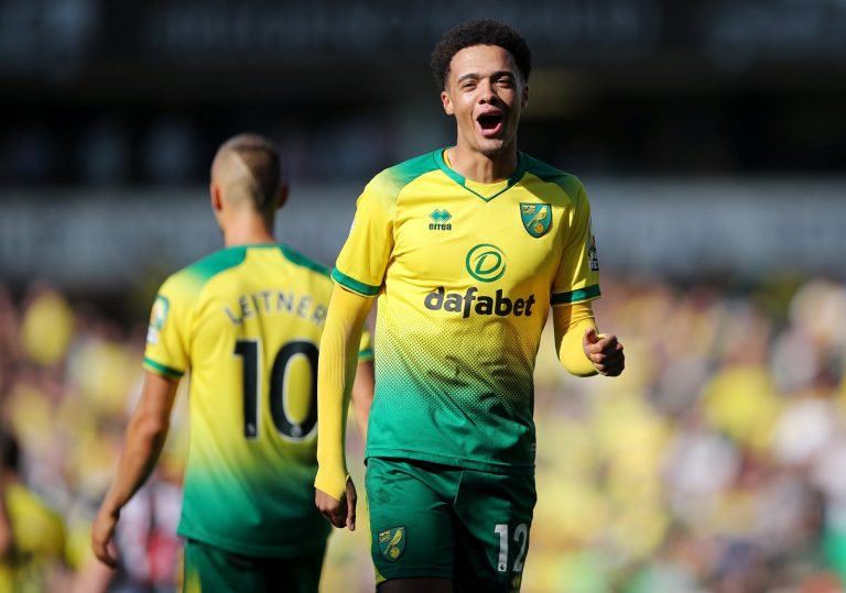 Norwich City: Jamal Lewis believes Canaries can stay in the Premier League comfortably