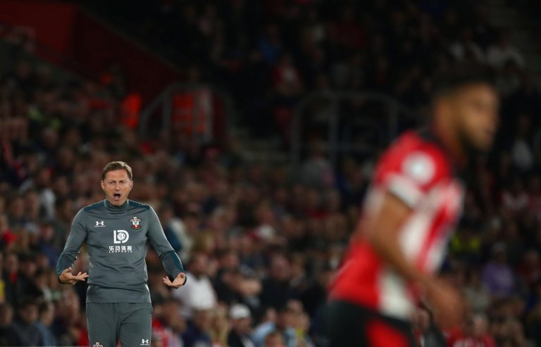 Southampton: Fans defend Ralph Hasenhuttl and place blame on the board