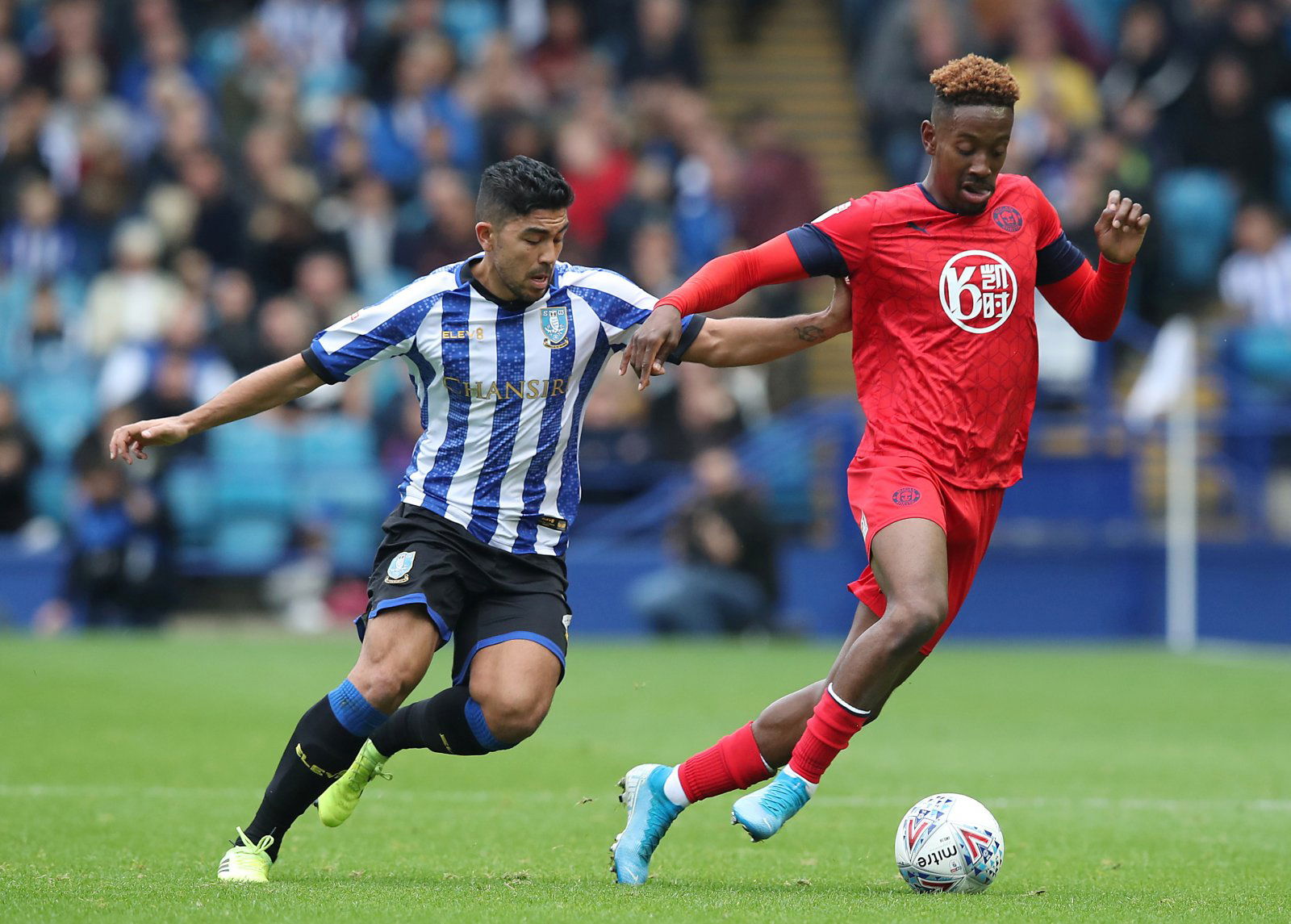 Sheffield Wednesday: Fans want to see Massimo Luongo more often after recent display - Sheffield Wednesday