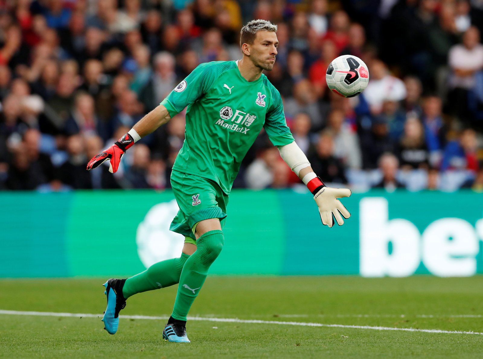 Crystal Palace: Fans flock to Vicente Guaita’s Twitter post -Crystal Palace