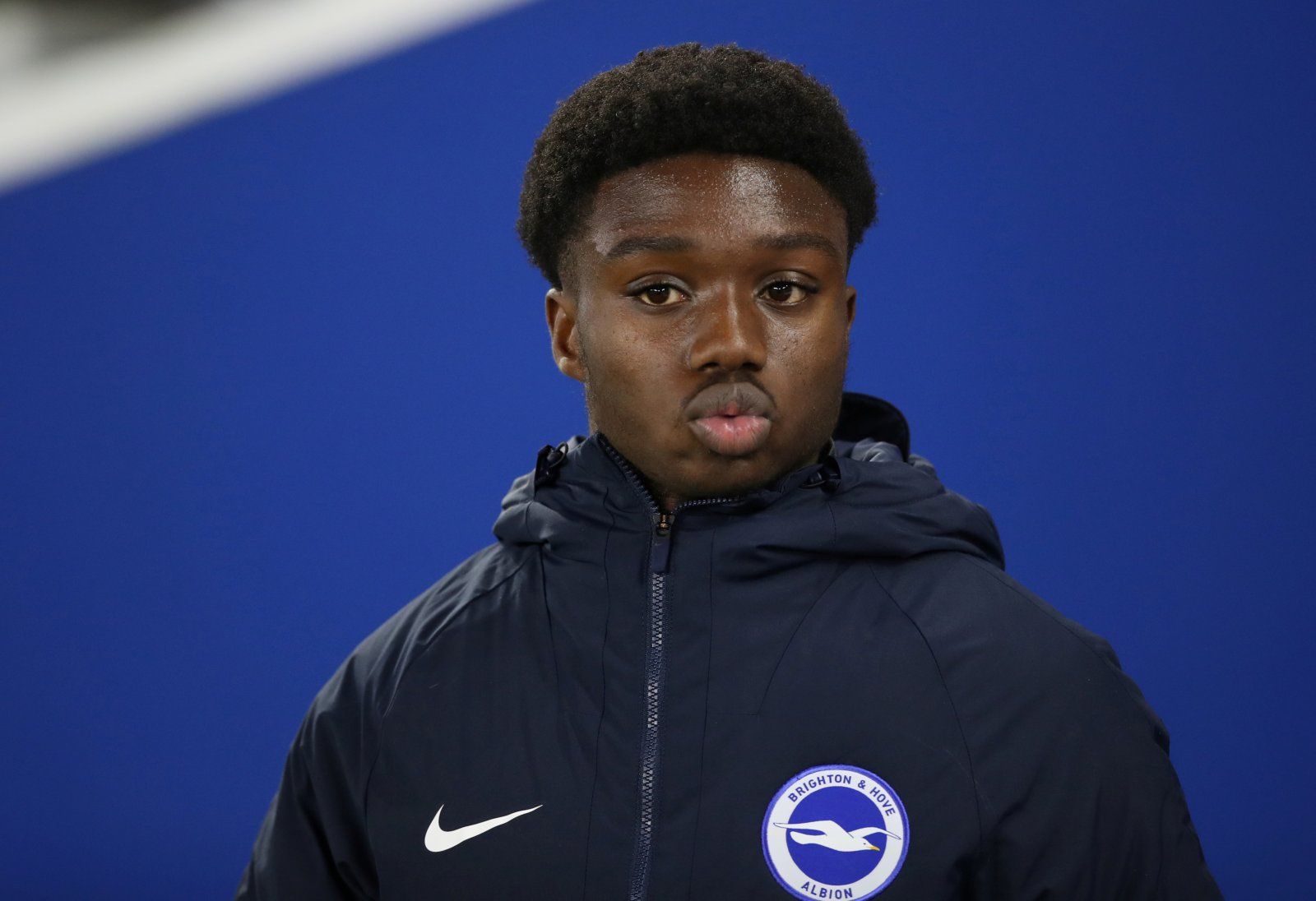 Brighton and Hove Albion: Alan Shearer raves about Tariq Lamptey | The  Transfer Tavern