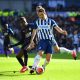 brighton-dunk-agent-top-6-comments