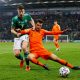 brighton-sign-joel-veltman