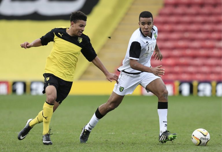 Sunderland: Wealdstone manager makes Dennon Lewis admission