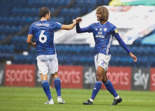 swfc-fans-react-dion-sanderson-interest