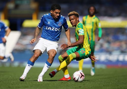 everton-fans-praise-allan