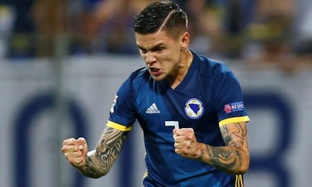 muhamed-besic-celebrates-for-bosnia
