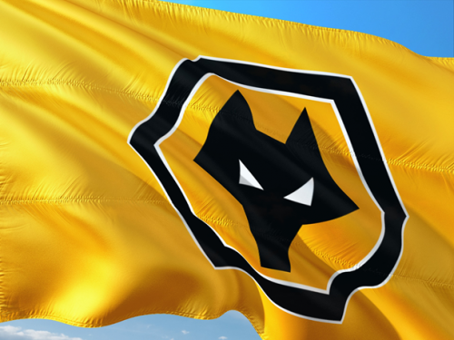 wolves flag