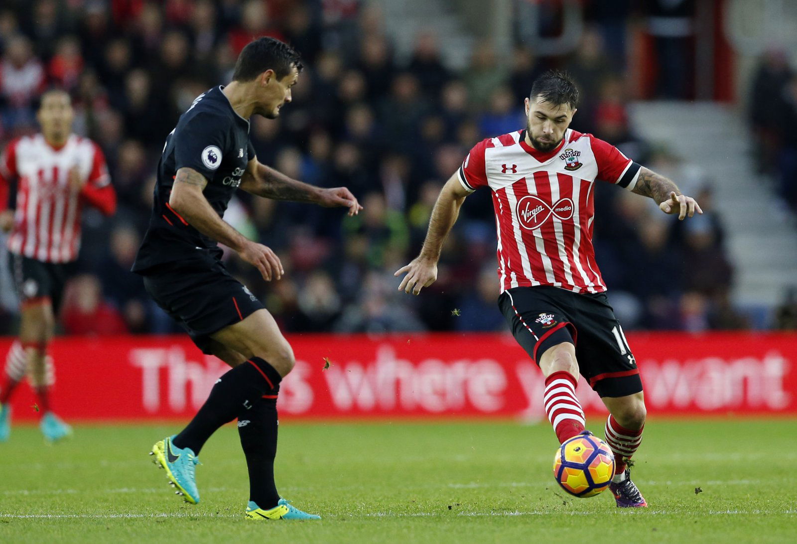 Liverpool: Charlie Austin provides intriguing Reds comparison - Liverpool News