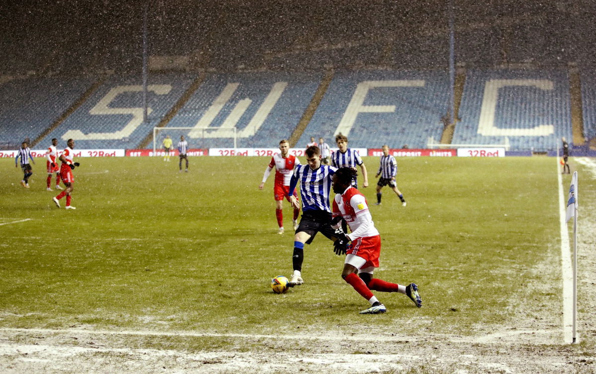 Sheffield Wednesday: Fans react to Dejphon Chansiri's comments on Liam Shaw - Sheffield Wednesday News