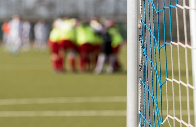 goal net