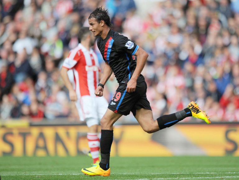 Crystal Palace: Fans react to clip of Marouane Chamakh goal