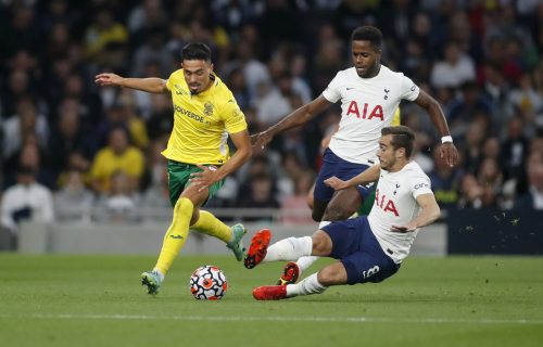 Exclusive: Carlton Palmer says Harry Winks isn’t a Marcelo Bielsa type player