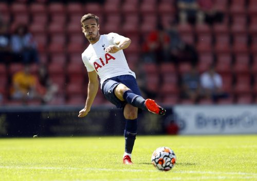 Harry Winks passes the ball