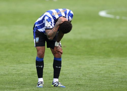 liam-palmer-sheffield-wednesday