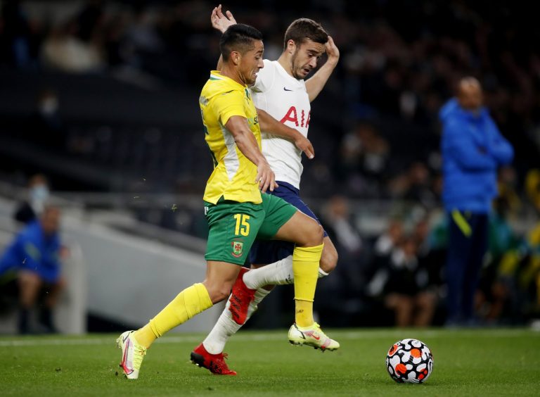 harry winks for spurs