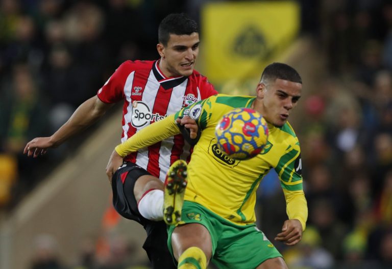 southampton star mohamed elyounoussi