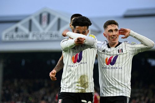 fabio carvalho celebrates for fulham