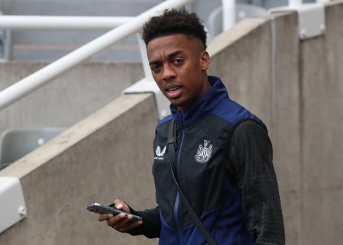 joe-willock-newcastle