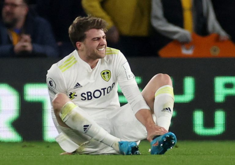 Leeds: Gabby Agbonlahor makes Patrick Bamford claim