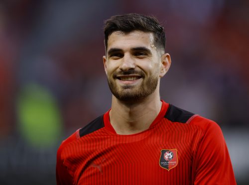 Rennes striker Martin Terrier