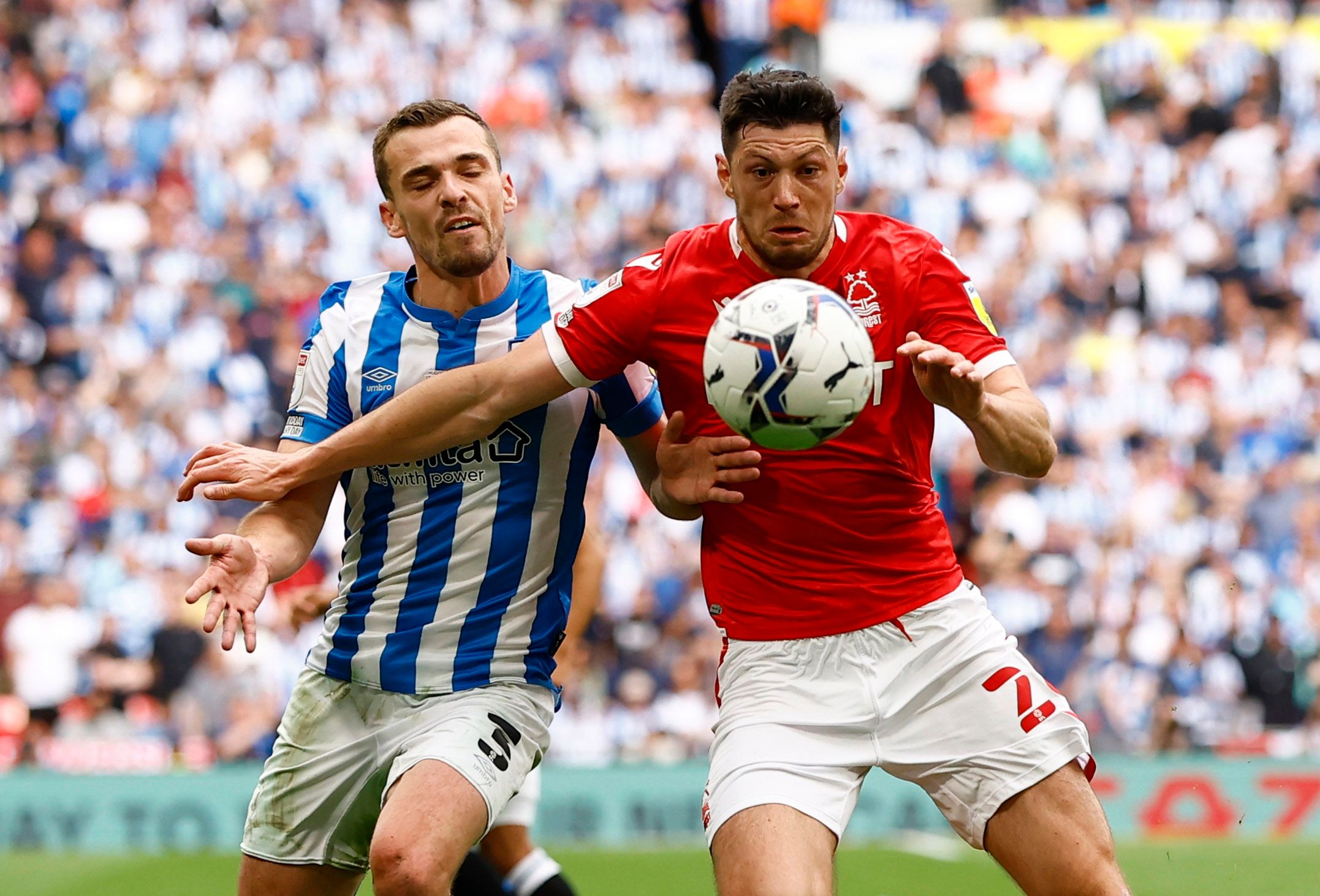 Nottingham Forest: Reds want to sign Harry Toffolo -Nottingham Forest News