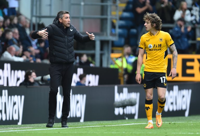 Wolves: Steve Madeley offers hope over possible Fabio Silva return