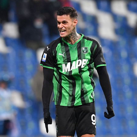Scamacca