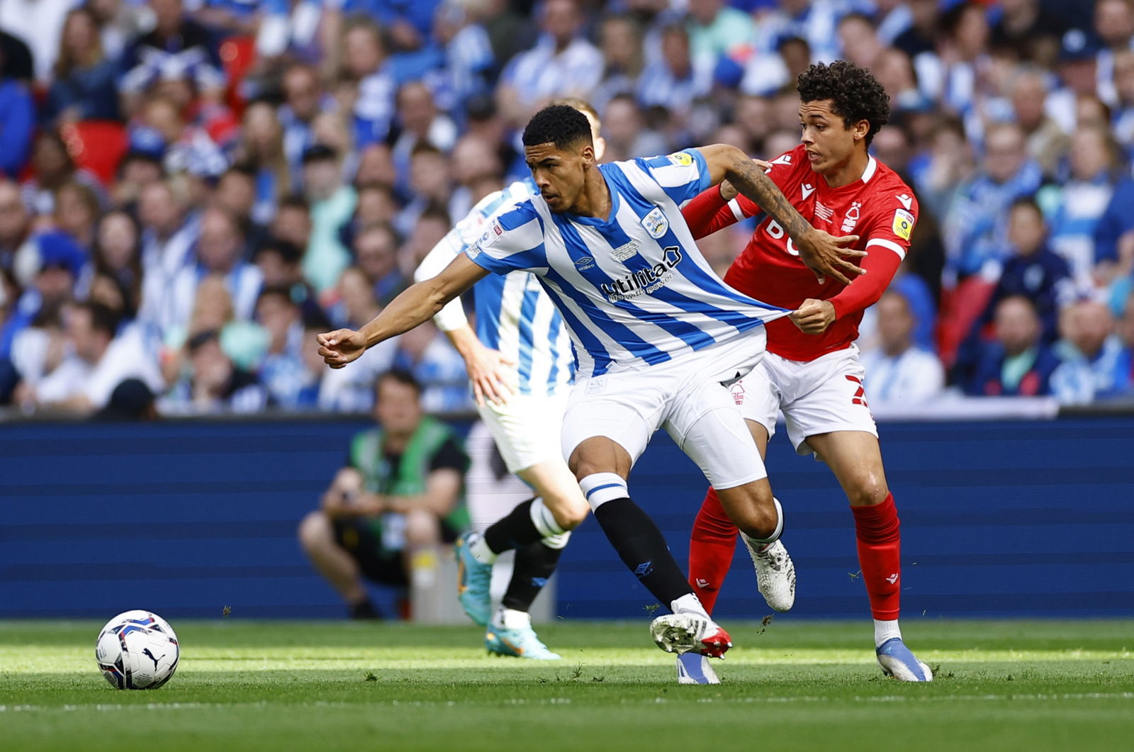 Crystal Palace: Eagles frontrunners to sign Levi Colwill -Crystal Palace News