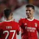 Benfica midfielder Enzo Fernandez
